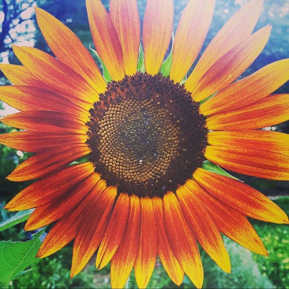 Meet your Posher, Nicole - Picture 1 of 1